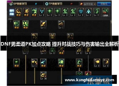 DNF男柔道PK加点攻略 提升对战技巧与伤害输出全解析 DNF男柔道PK加点攻略 提升对战技巧与伤害输出全解析